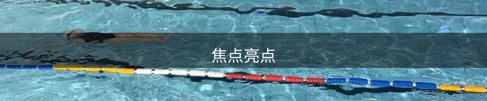 焦点亮点